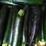 courgette bio