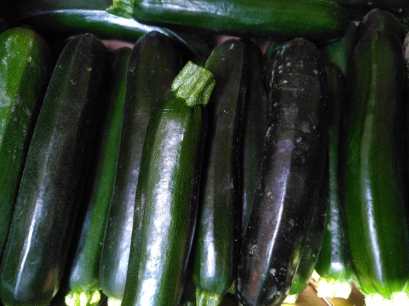 courgette bio