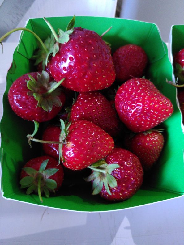 FRAISE BIO