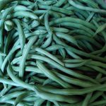 haricot vert bio